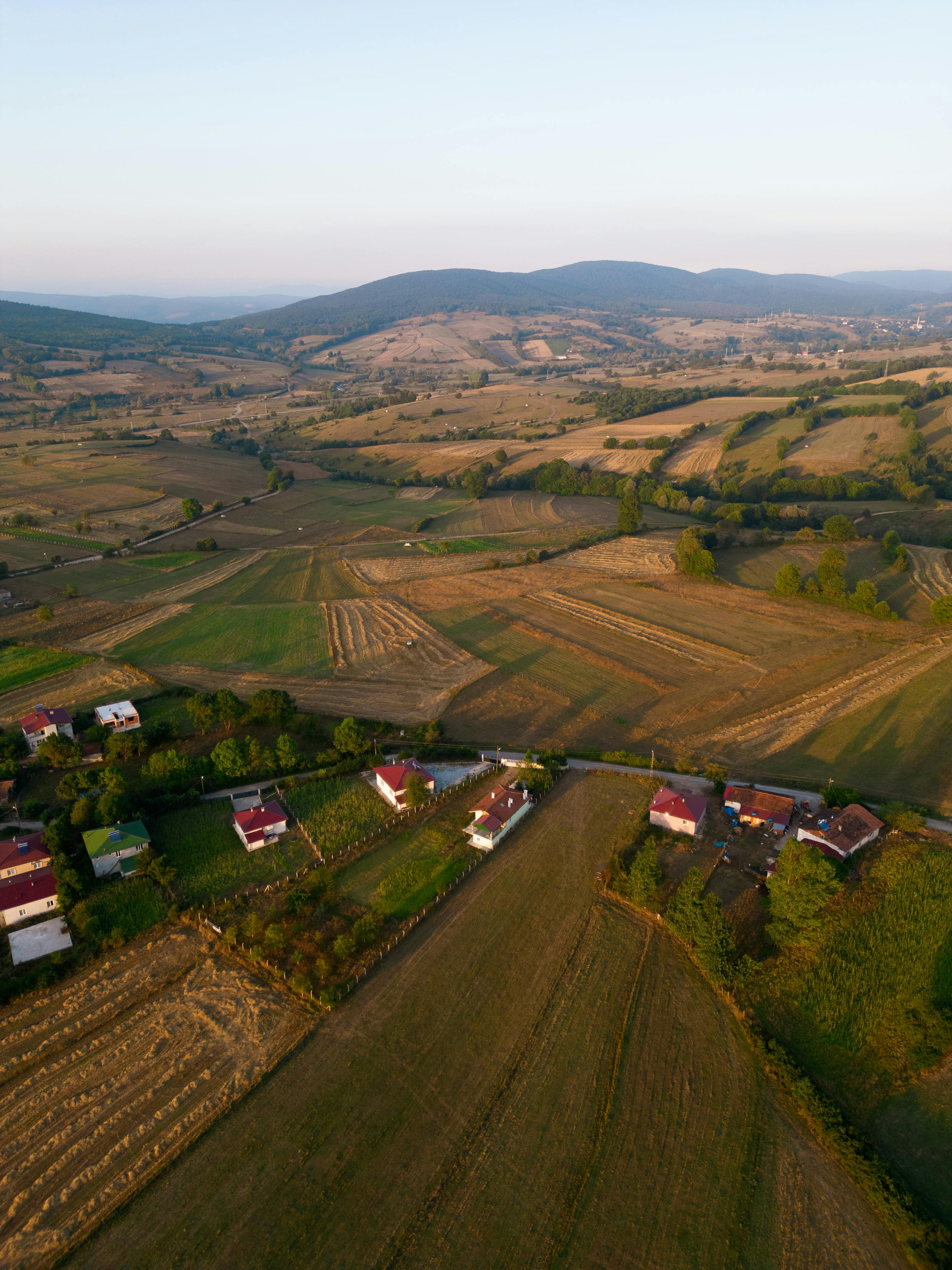Open countryside and trees